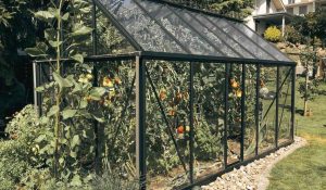 une belle serre dans un jardin