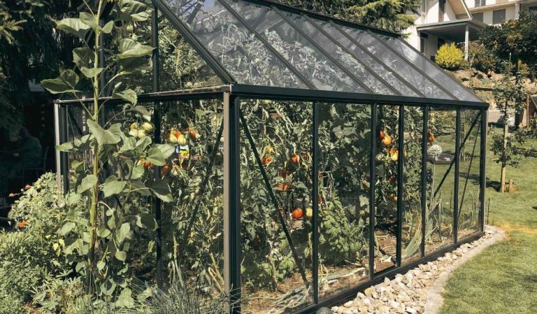 une belle serre dans un jardin