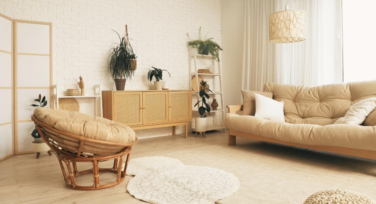 salon avec beaux meuble
