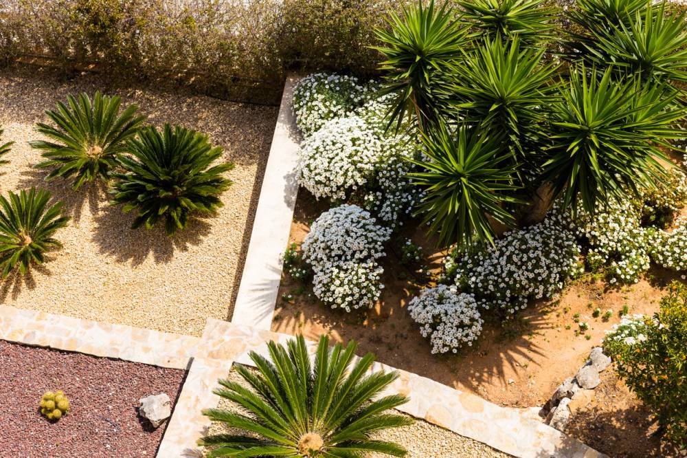 conception jardin méditerranéen 