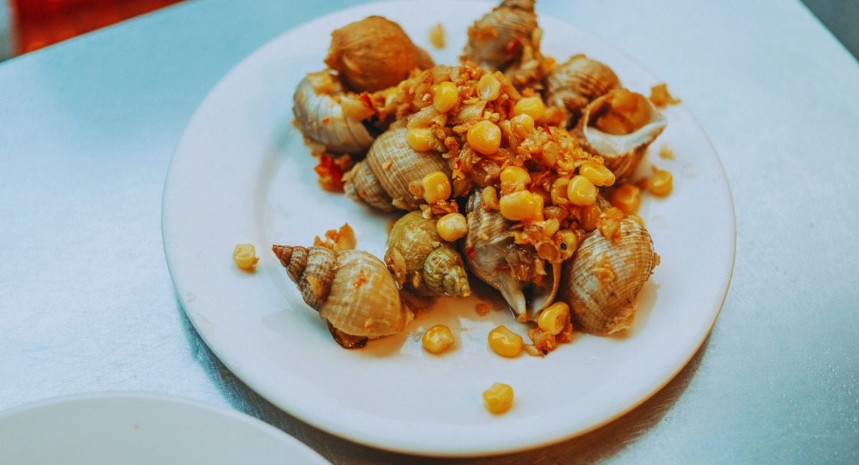 Bulots cuits présentés dans une assiette blanche avec une sauce à l'ail
